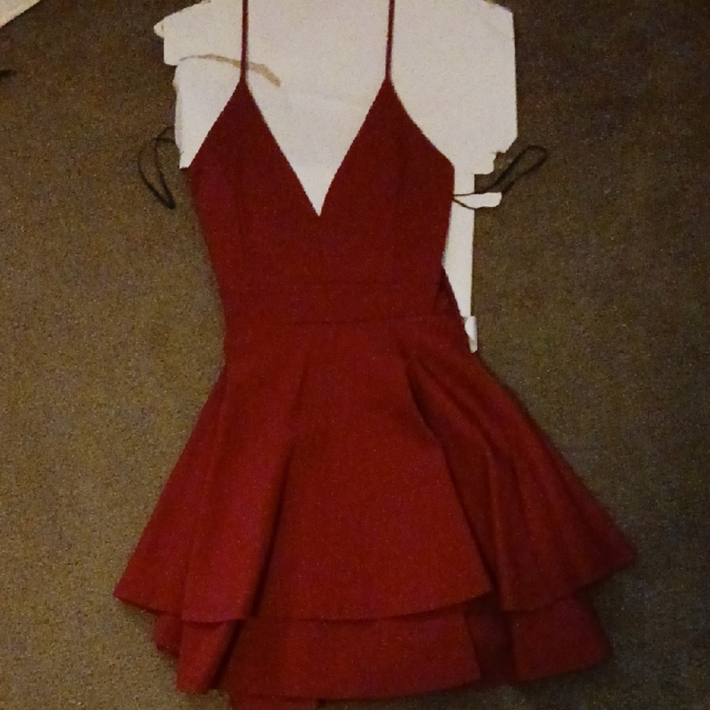 Windsor Burgundy Layered Mini Dress